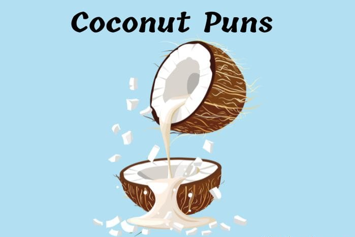 110 Hilarious Coconut Puns That Will Make You Go Coco-Nuts